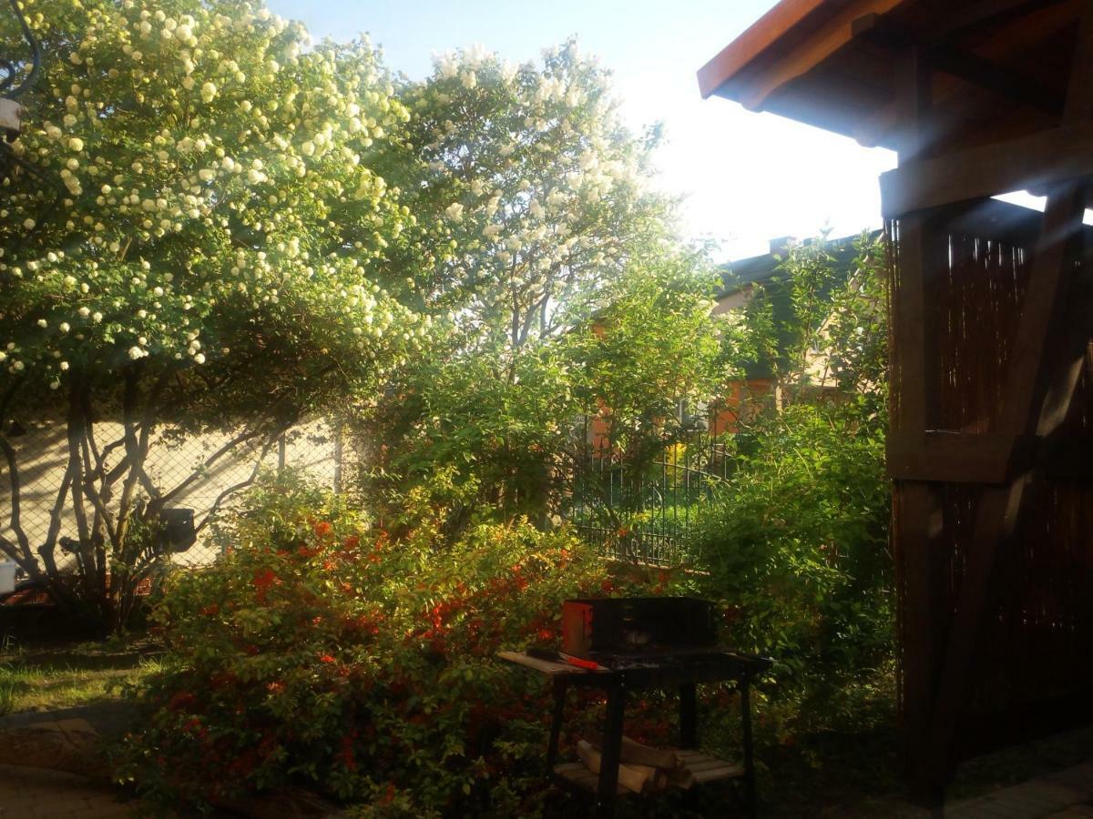 Mieszkanie Na Zielonej Tanie I Wygodne Noclegi Czluchow Exterior photo